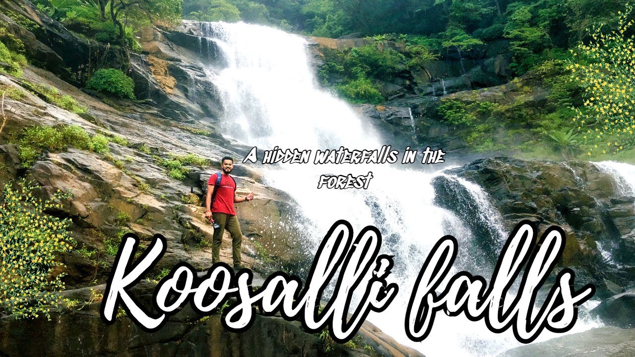 Koosalli a hidden falls in the forest| Places to visit  near Udupi, Byndoor| Deep forest Trekking