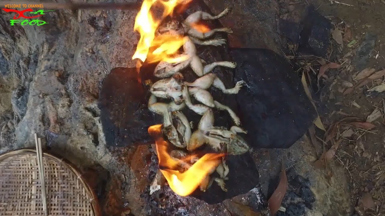 Catching  And Cooking  Frog on a Rock | Ếch Chi&ecirc;n Tr&ecirc;n Đ&aacute; Q&uacute;a Ngon | XUAN AN FOOD