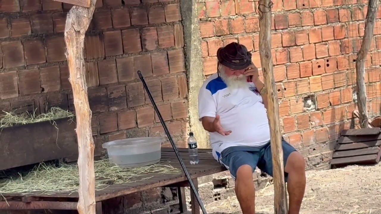 LUIZ DO SOM TÁ ATRÁS DE UMA OVELHA