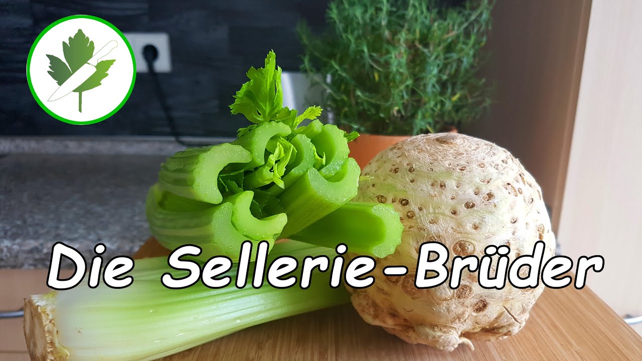 Knollensellerie und Staudensellerie - Tipps rund um Sellerie