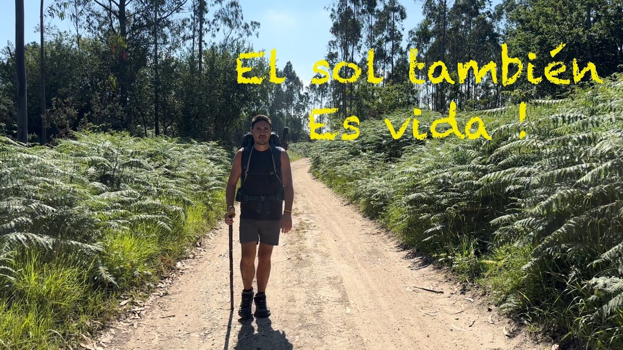 Camino del Norte (junio y julio 2025) Etapa 21 Aviles - Muros de Nalón