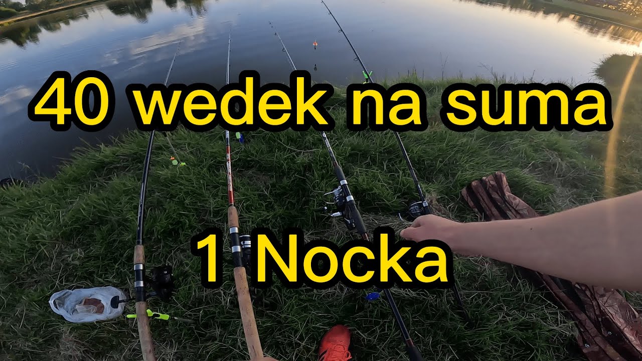 40 wedek. SUMY 1 nocka na komercji Rogiedle odlow suma