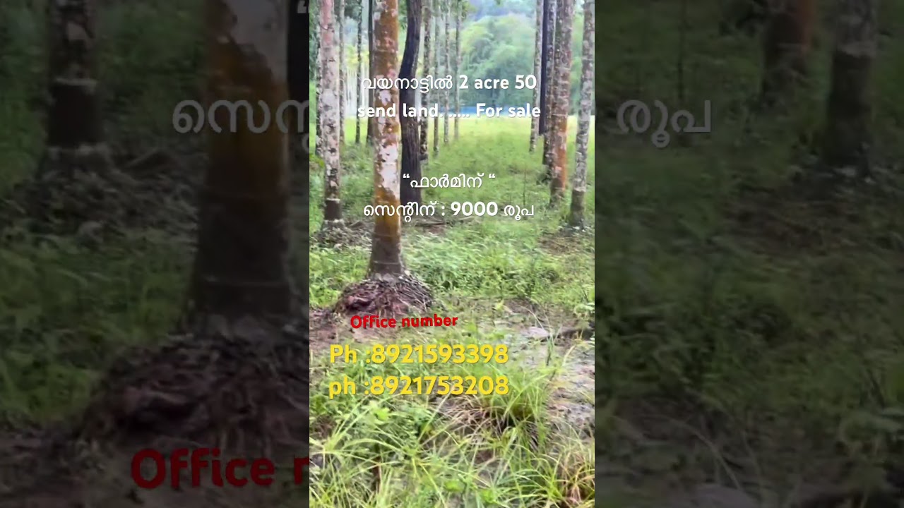 Wayanad farm land 2 acre 50 send for sale...