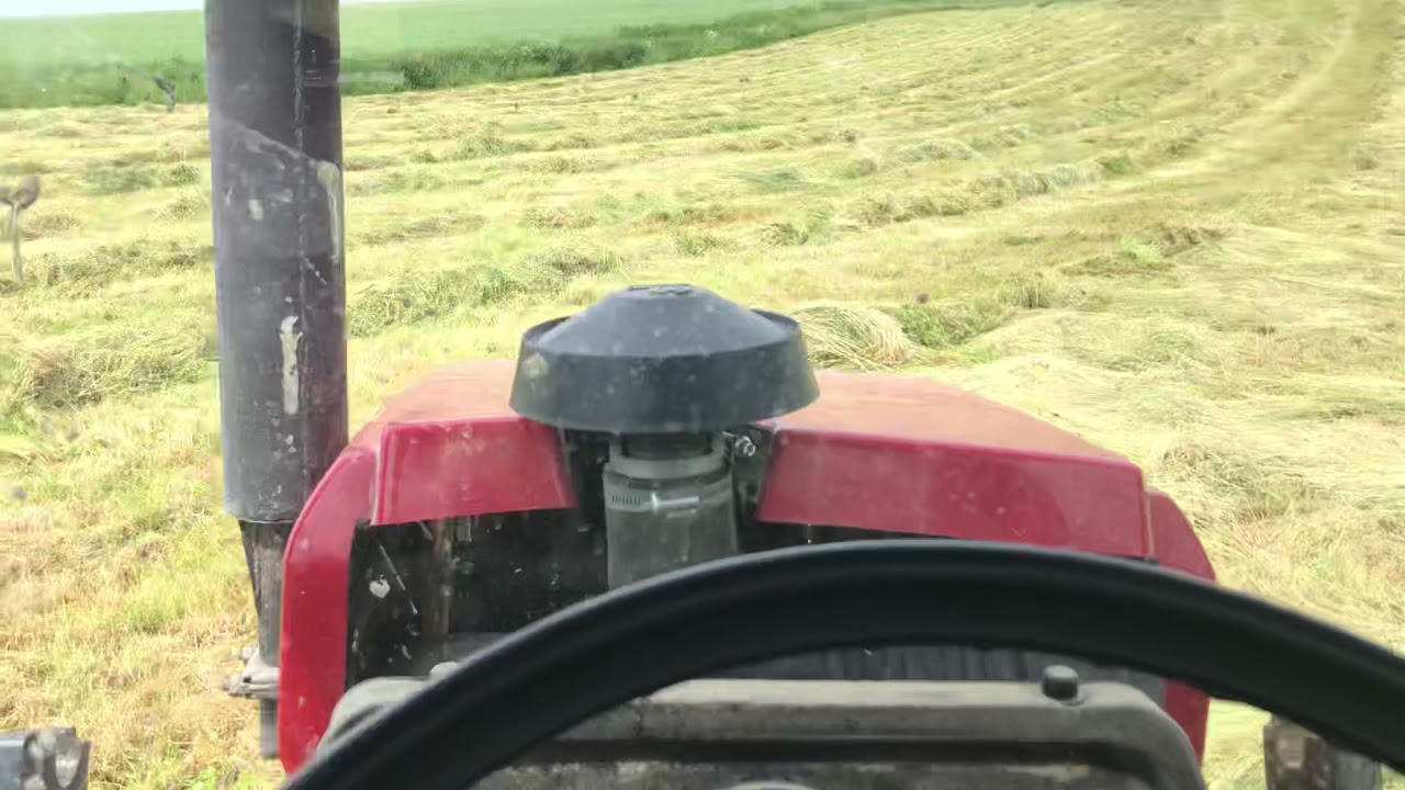 Nahrabovaní sena belarus 320.4