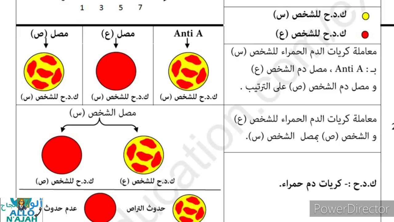 تمرين نموذجي وفق المنهجية حول الزمر الدموية، الذات واللاذات، تمرين الإستدلال العلمي 7نقاط