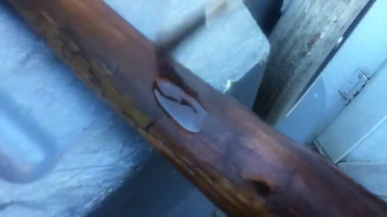 Fast Drying Polyurethane Sample