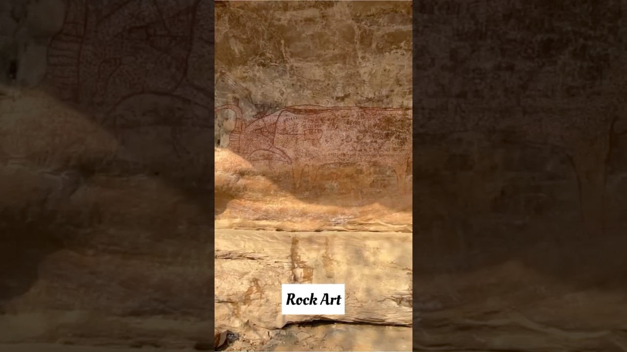 Ratapani Wildlife Sanctuary,MP #dishakidrishtii #tigerreserve #junglesafari #bhopal #nature #animal