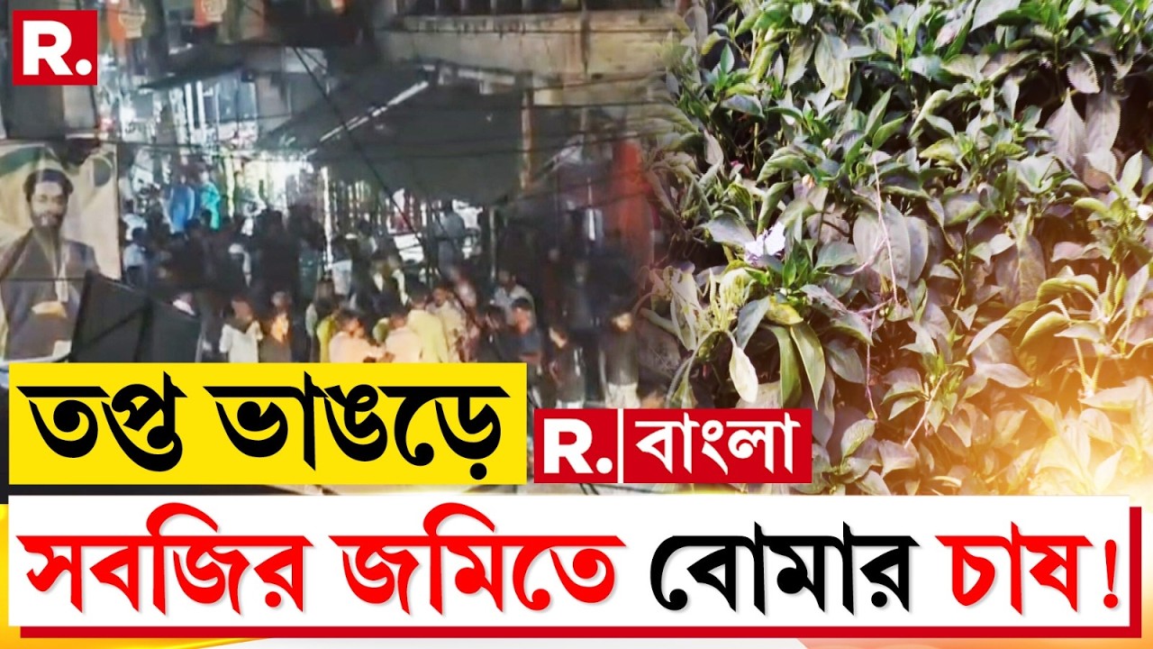 ভাঙড়ে রাস্তার পাশের জমিতে মজুত ছিল বো মা। সবজির ক্ষেতে পড়ে বো মার সুতলি