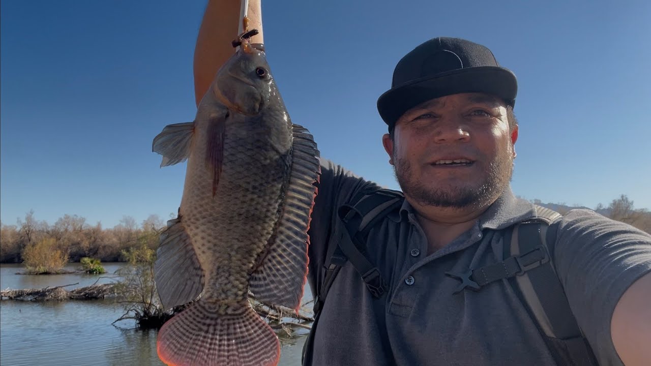 Undia de pesca salieron las tilapias
