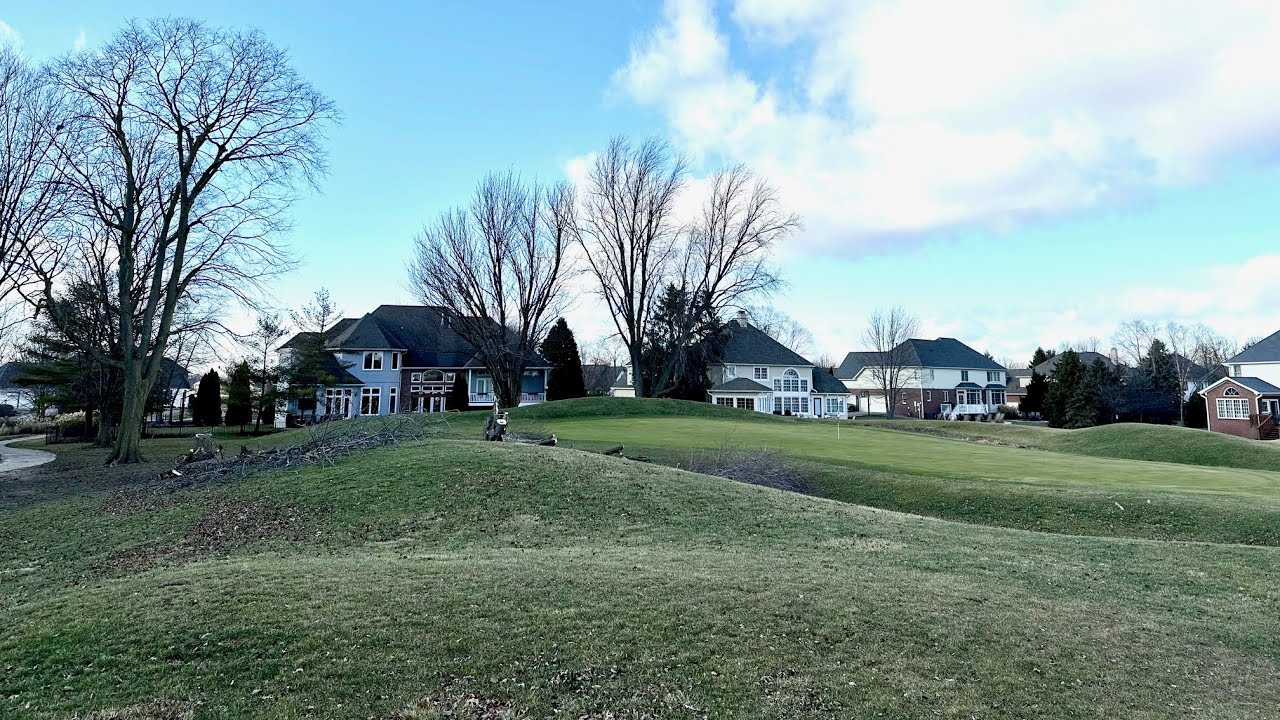 Should've Done This A Lot Sooner - Tree Removal on 24 Ridge