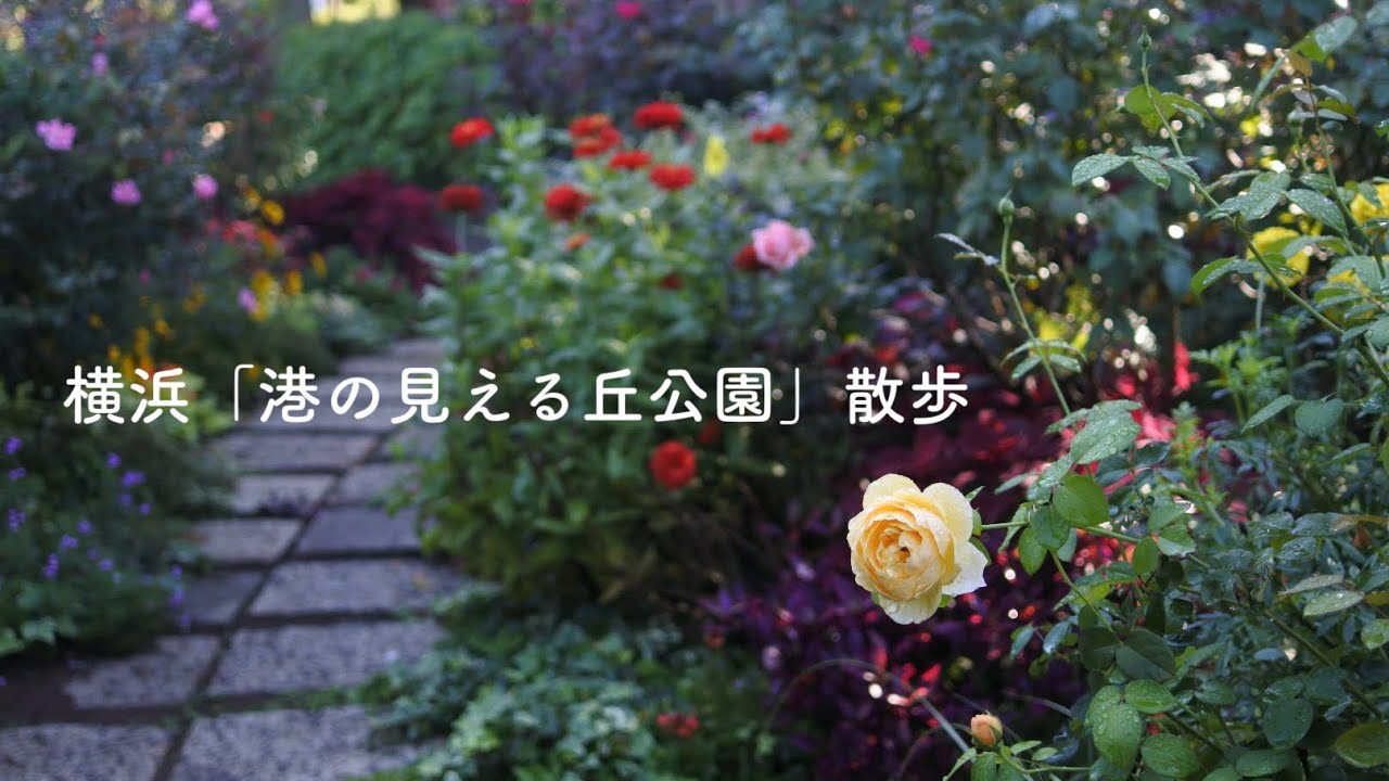 横浜「港の見える丘公園」散歩