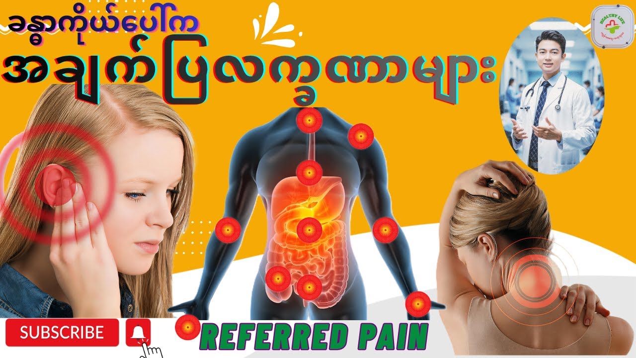 ခန္ဓာကိုယ်ပေါ်က အချက်ပြ လက္ခဏာများ | Referred Pains of the human Body