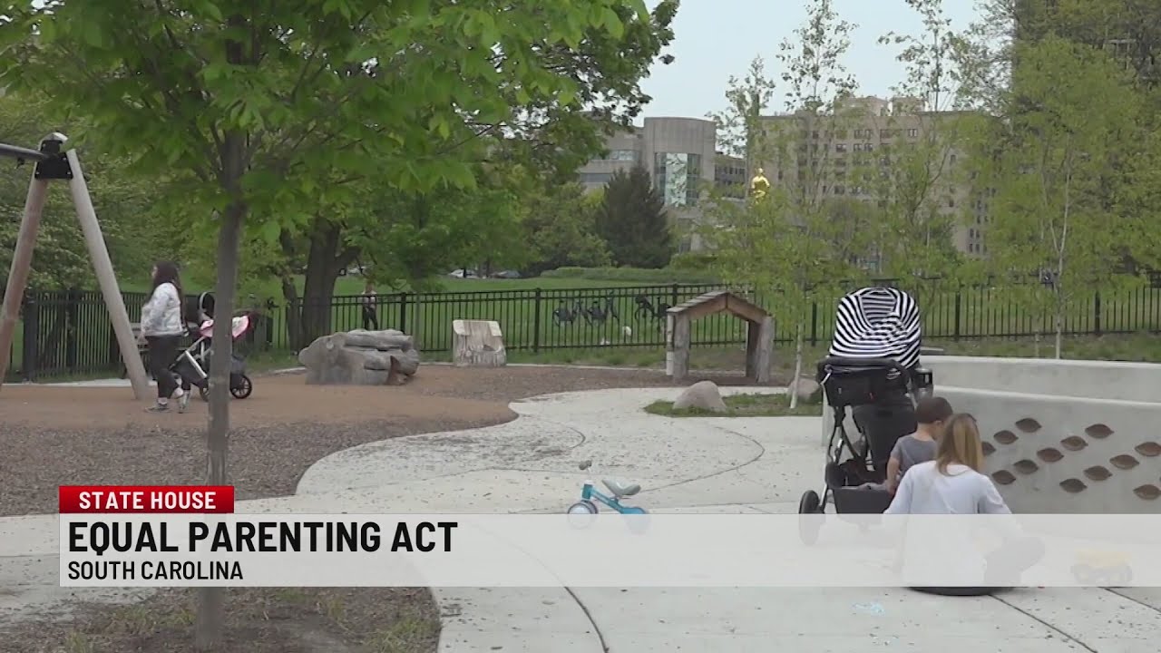 Equal Parenting Act aims to update South Carolina family law
