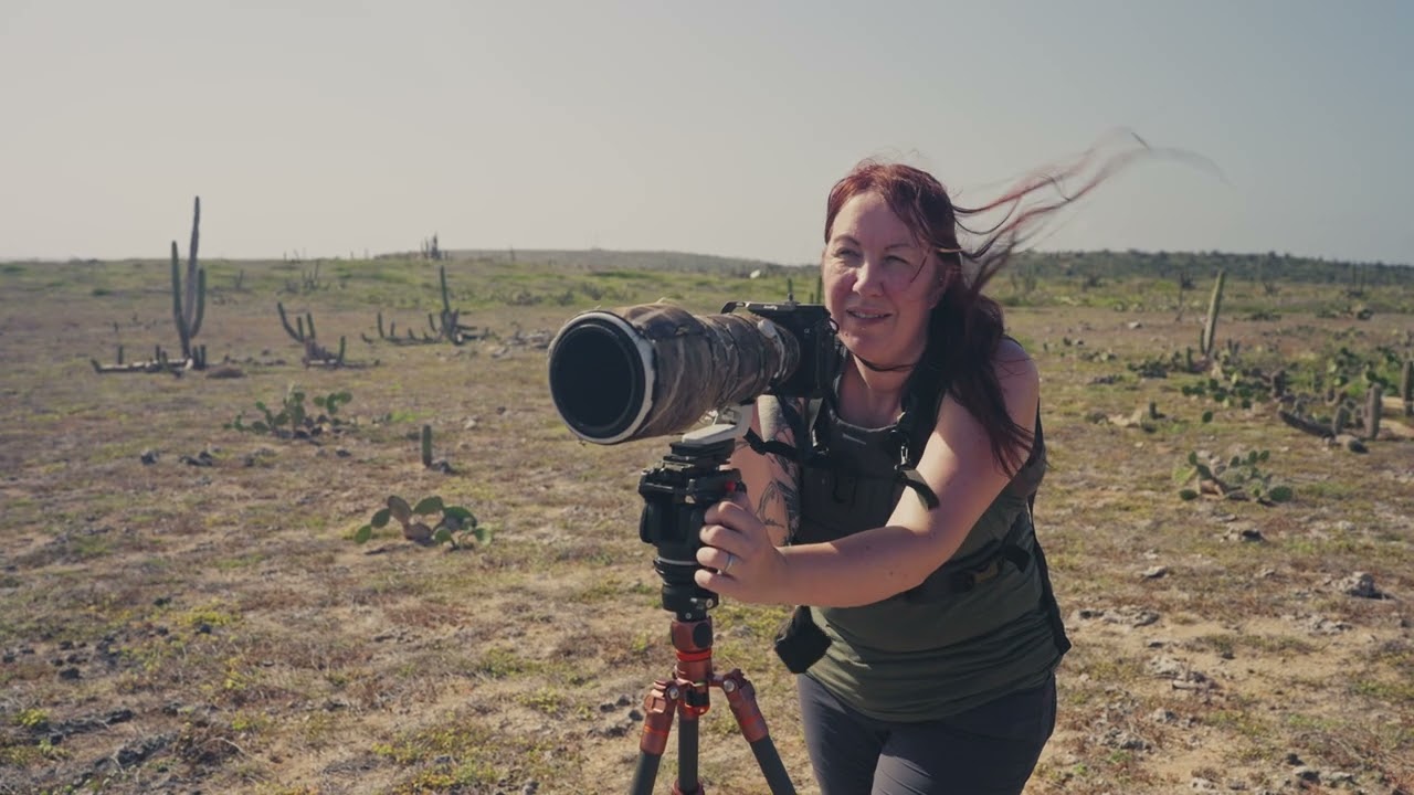 Cotton Carrier Presents: Natalie Clements - Photographing Wildlife in Aruba