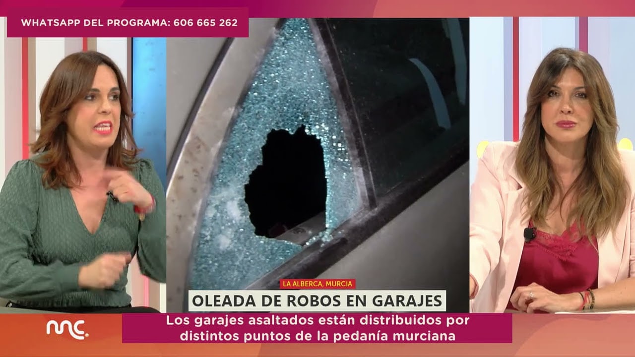 OLEADA ROBOS EN GARAJES DE LA ALBERCA