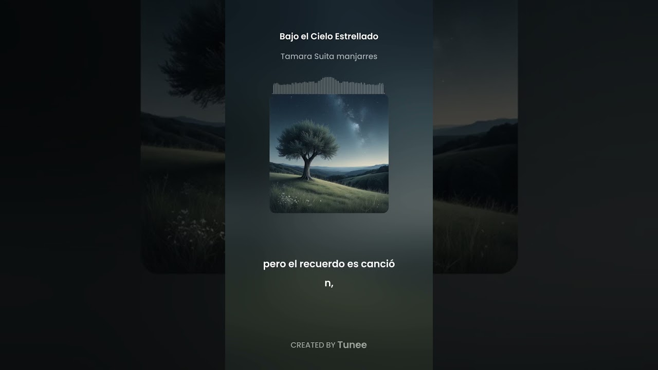 Bajo el cielo estrellado