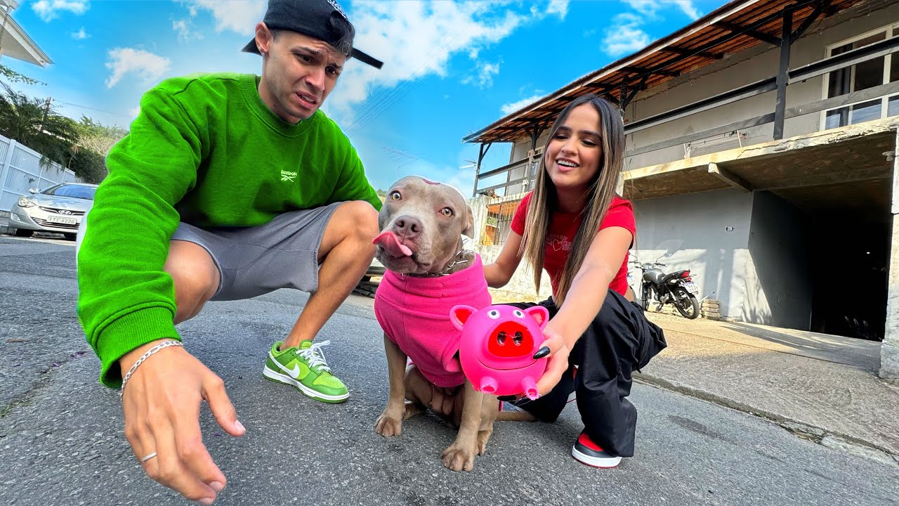 TRANSFORMEI A PlTBULL DO MEU NAMORADO EM UMA PATRlCINH4…