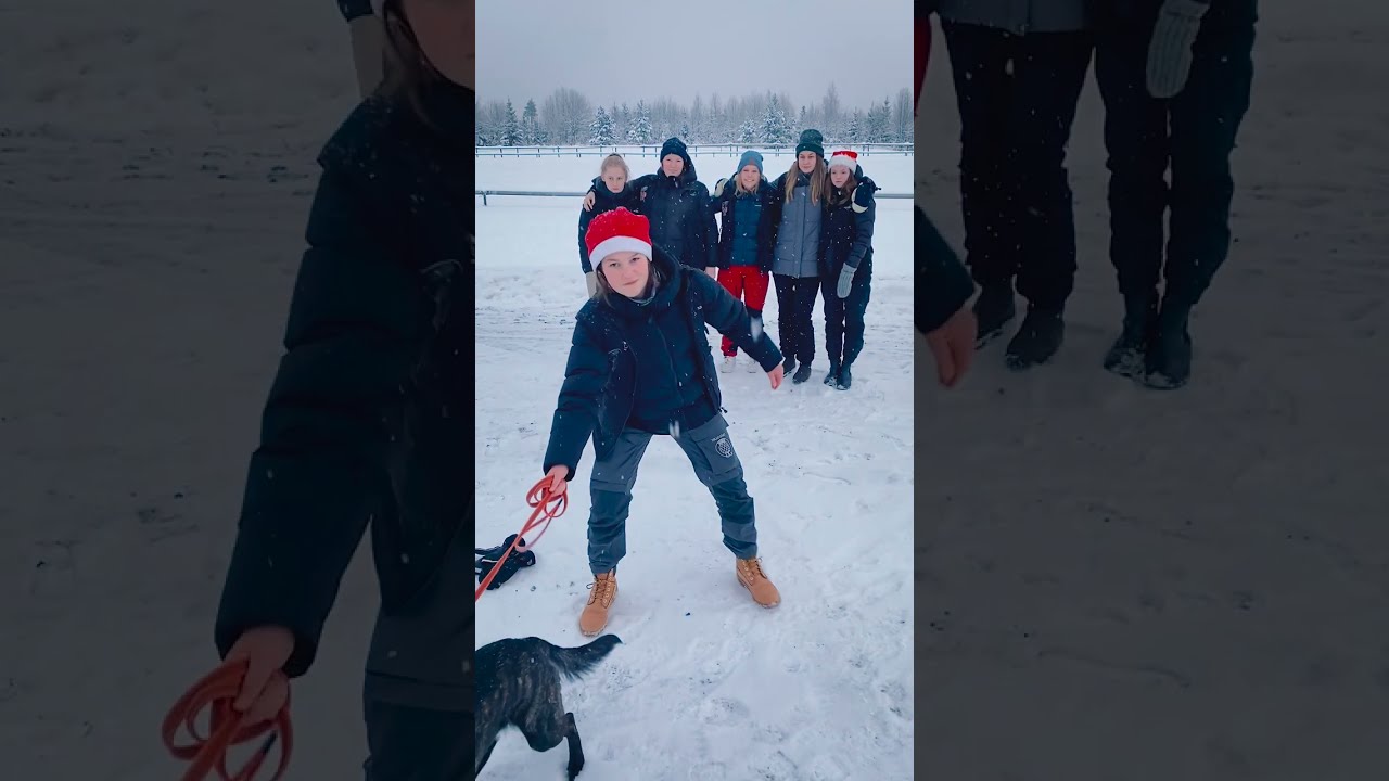 Aktivera din hund, tips! - Dille Gård Naturbruksgymnasium - Profil Hund