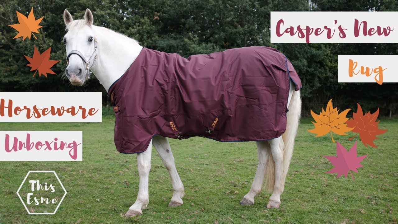 Casper's New Rug! | Horseware Amigo Hero ACY Plus Unboxing | This Esme
