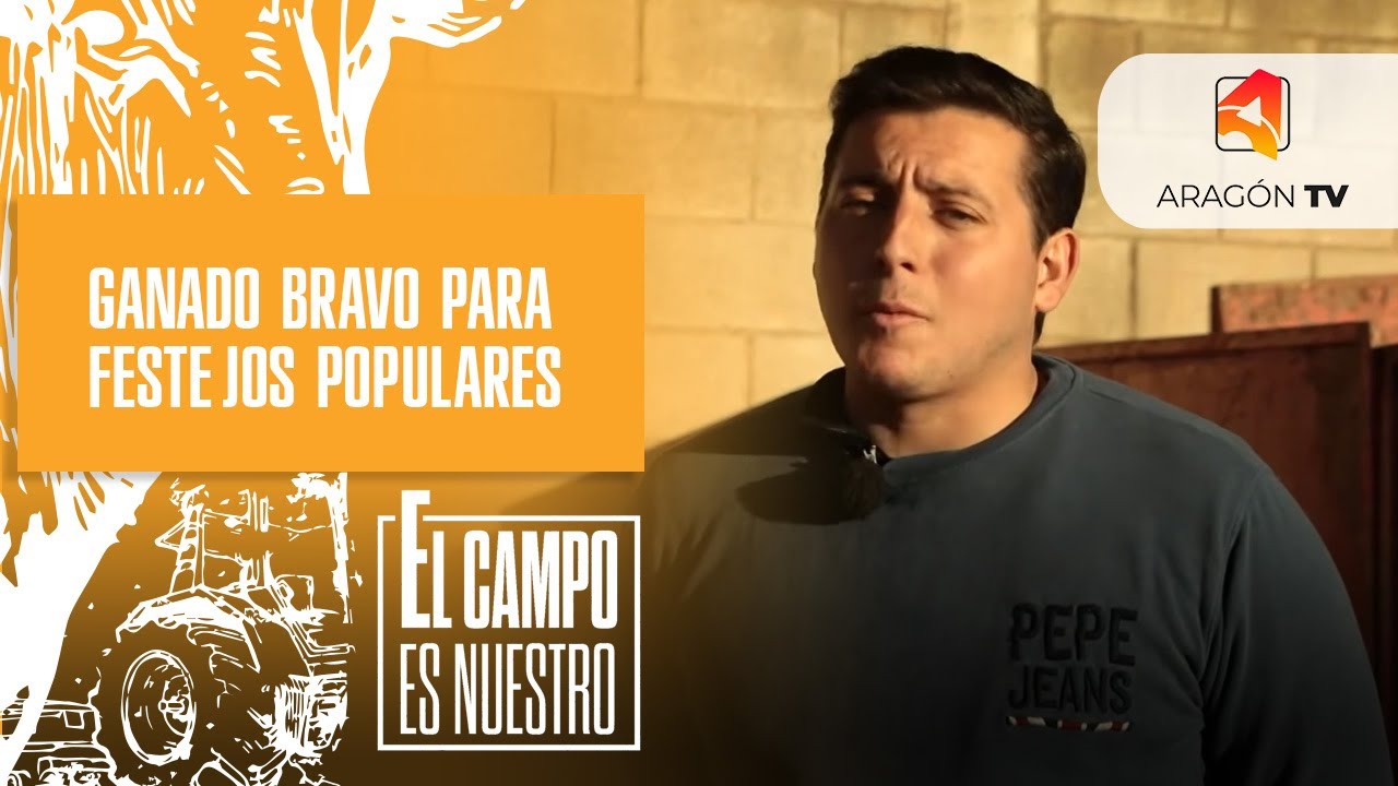 Ganado bravo para festejos populares / Carlos Gil