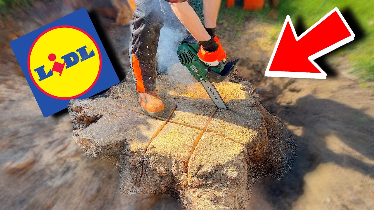 ESPLODO LA MOTOSEGA da POTATURA della LIDL! Parte 1