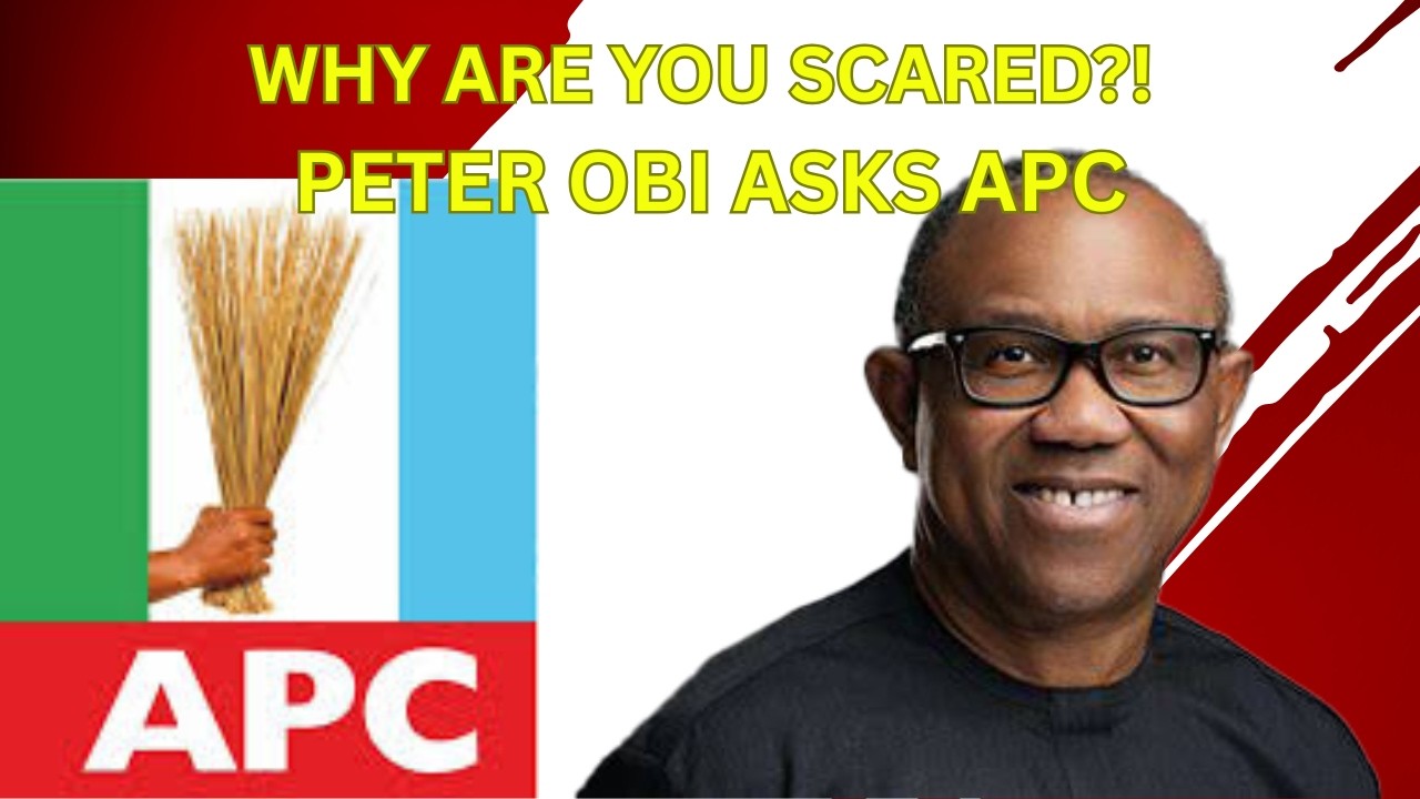 Why Are You Scared?! Peter Obi Asks APC