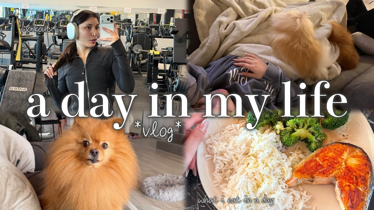 A DAY IN MY LIFE *aggiornamenti studio nuovo* | MelissaTani