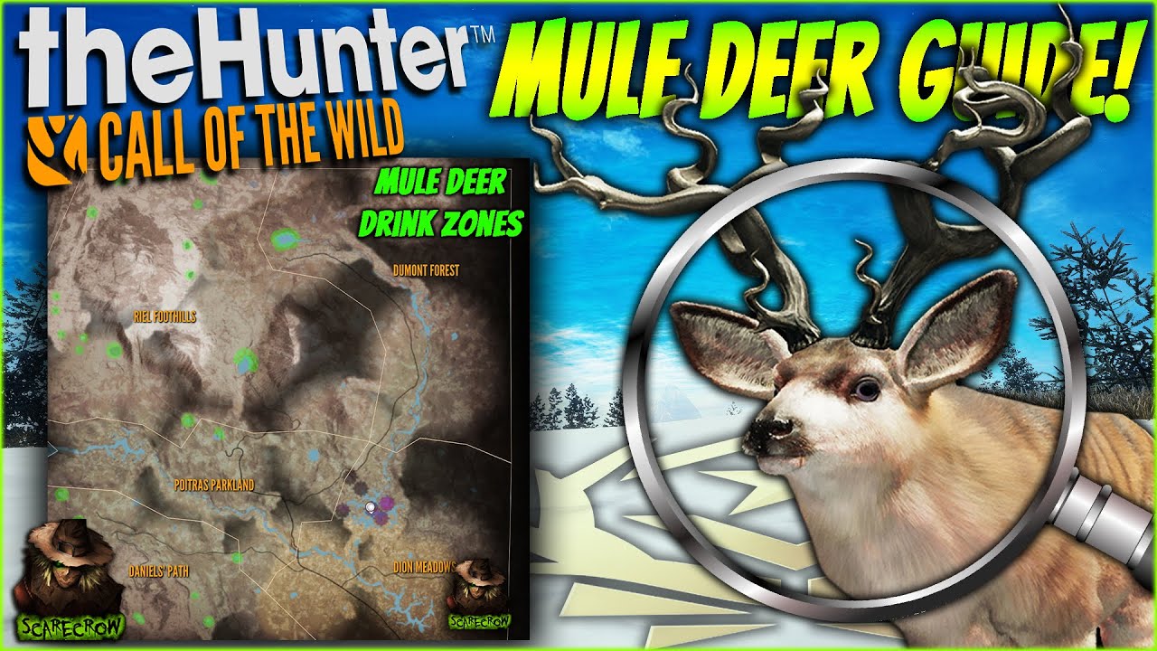 The Ultimate Great One Mule Deer Herd Management Guide For Askiy Ridge! Call of the wild