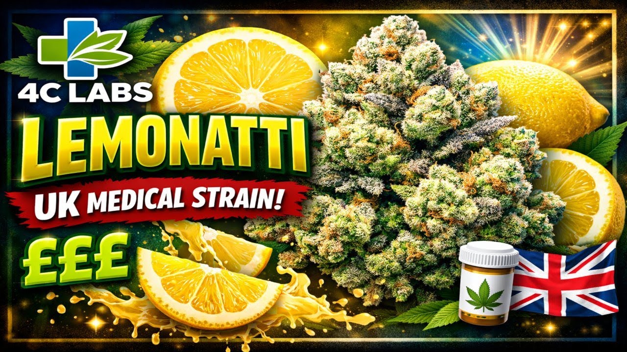 UK MEDICAL FLOWER | 4C LABS | LEMONATTI | T25 #420community #ukmedicalcannabis #420 #cbpm #uk