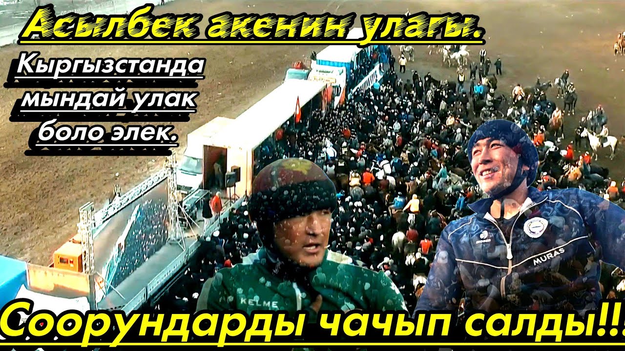Аламан улак 70 төө 70 тай 70 торпок (Башталды)
