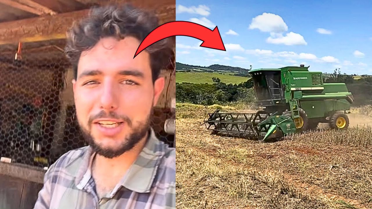 COMEÇOU A COLHEITA DA SOJA NA ROÇA! 😍🔥 + PLANTIO DO MILHO 