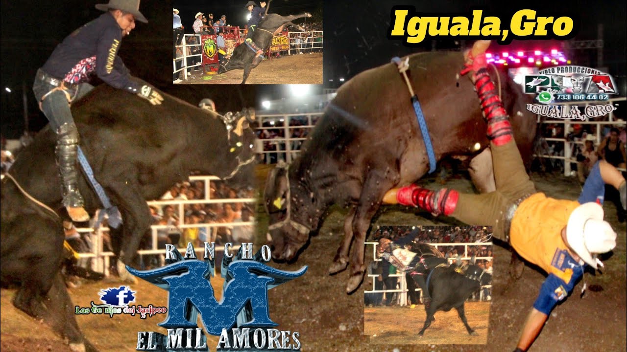 🔥BRILLARON NUEVAS ESTRELLAS🔥Del Rancho Mil Amores 🤠Cayo Sierreño De Xixi y Bodoquito de Chil. Iguala