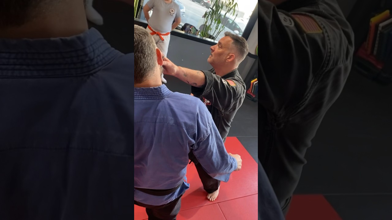 Real Kenpo vs. Patty Cake 🥋 Sensei Donnie Jeffcoat