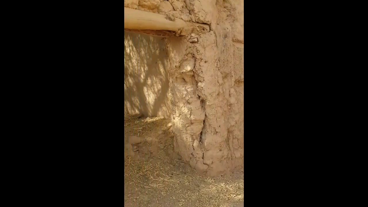 حوطه بني تميم