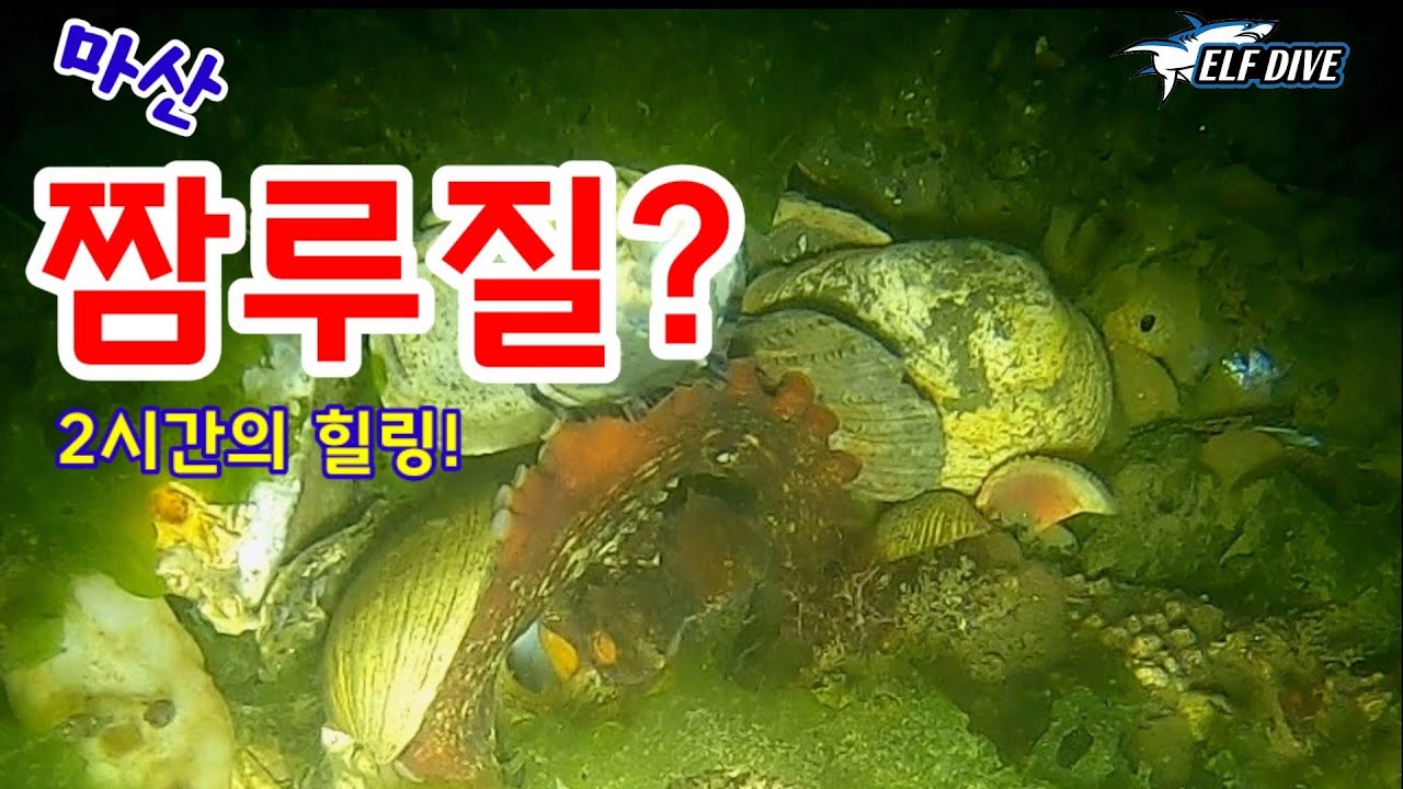 🦀야근후 즐기는 해루질에는 무엇이 잡힐까?
