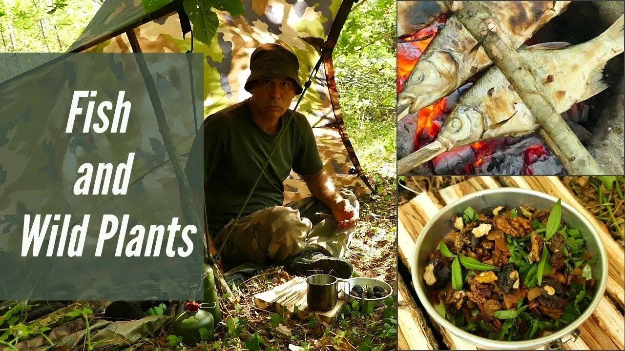 Survive in the Wilderness Without Food: A How-To Guide