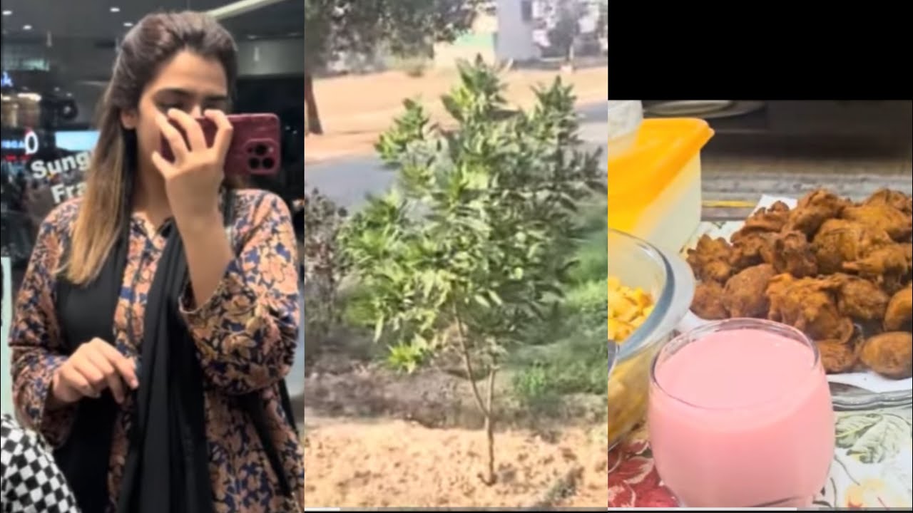 FIZZA KI VLOGGING || SHAHEENA AJ MILNAY GYI MAINA JAAN SE || BACHON KI RONAQ