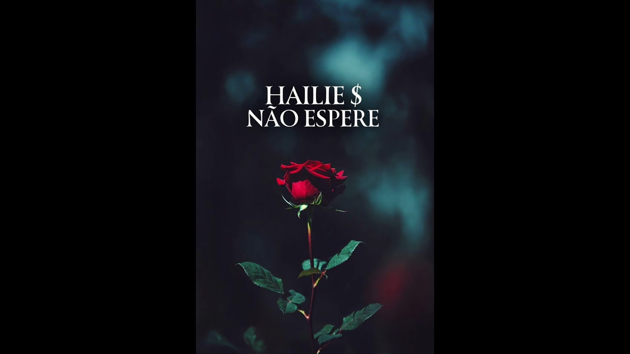 Não Espere HAILIE $