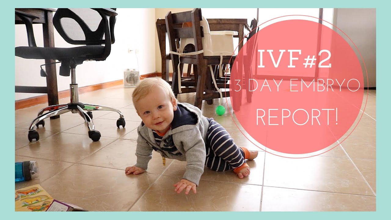 IVF#2: Day 3 Embryo Update!!!