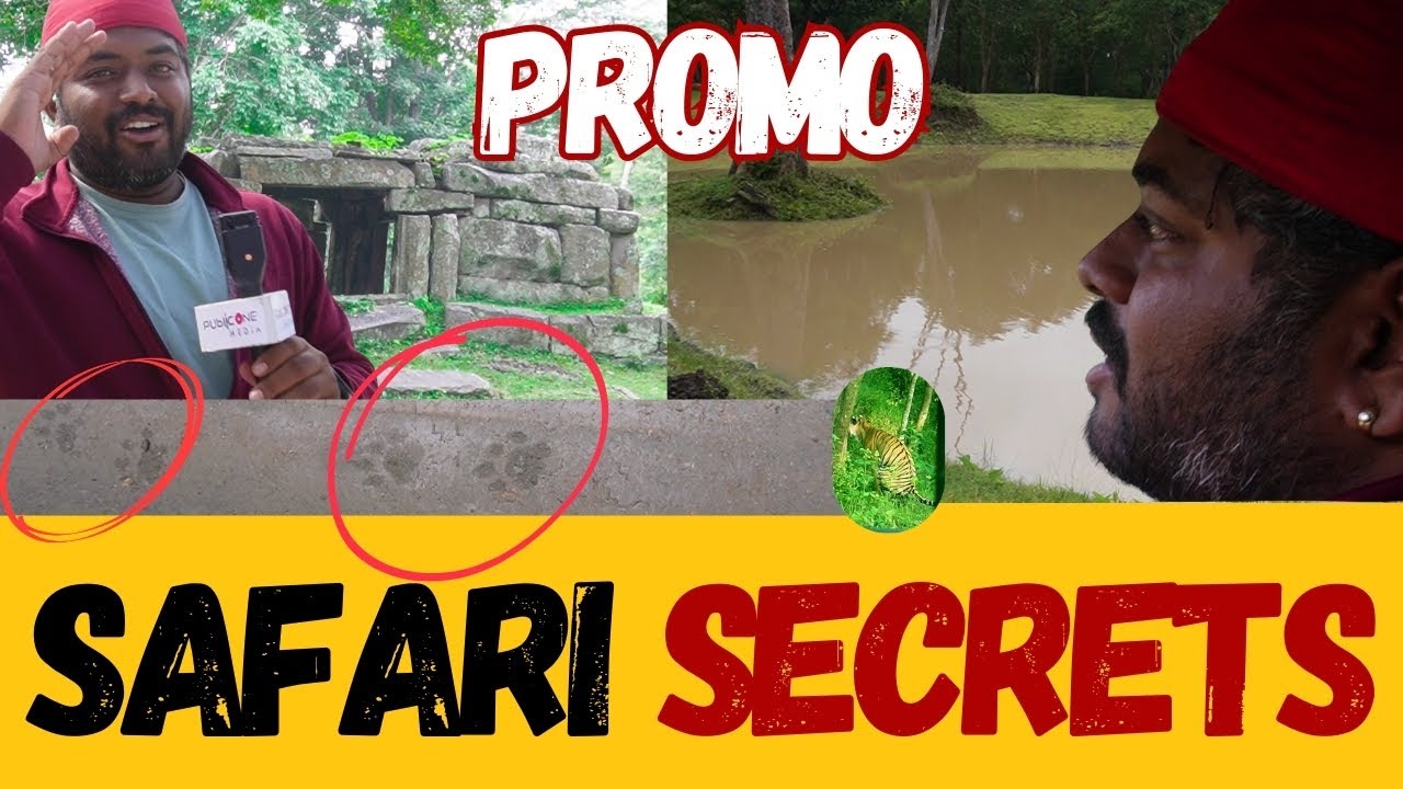 Dammanakatte Safari PROMO | PublicONE Media