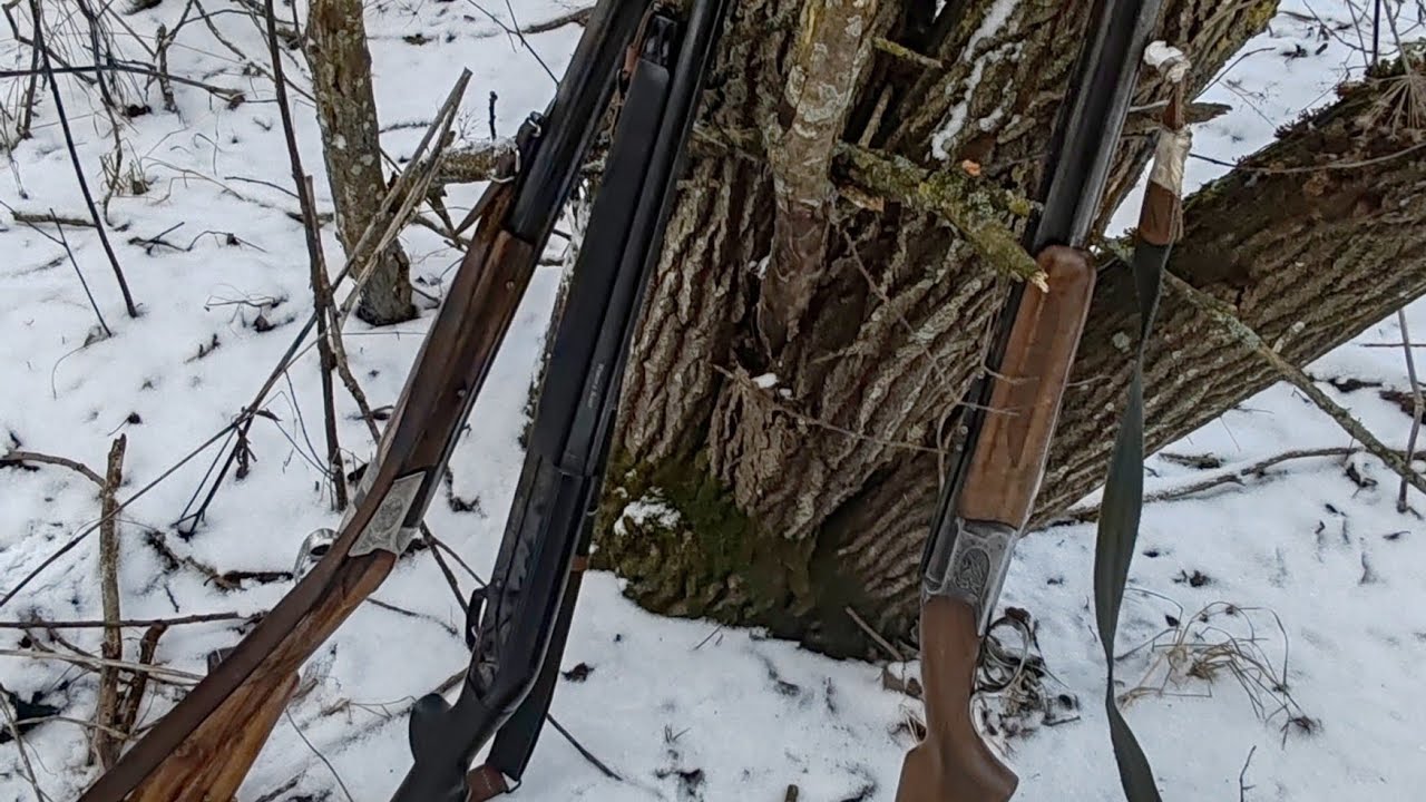 Добыли первого зайца в 2025г