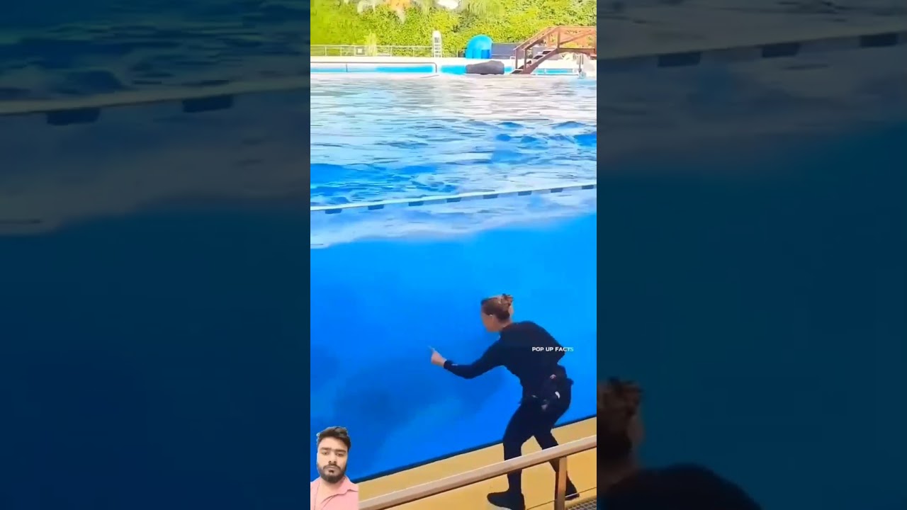 Умнейший кит в мире &mdash; и его танец поразил всех!