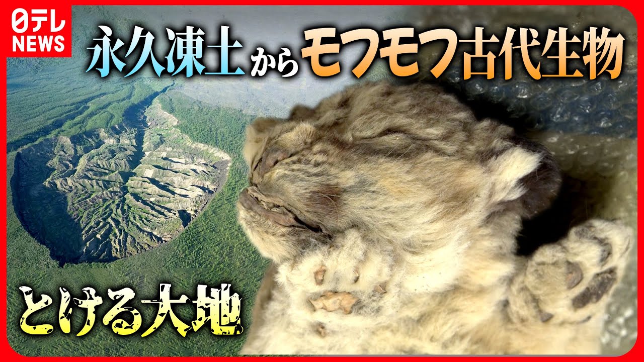 【大迫力】永久凍土の“穴”の底へ…大地がとけて赤ちゃん動物やマンモスも【フルバージョン】