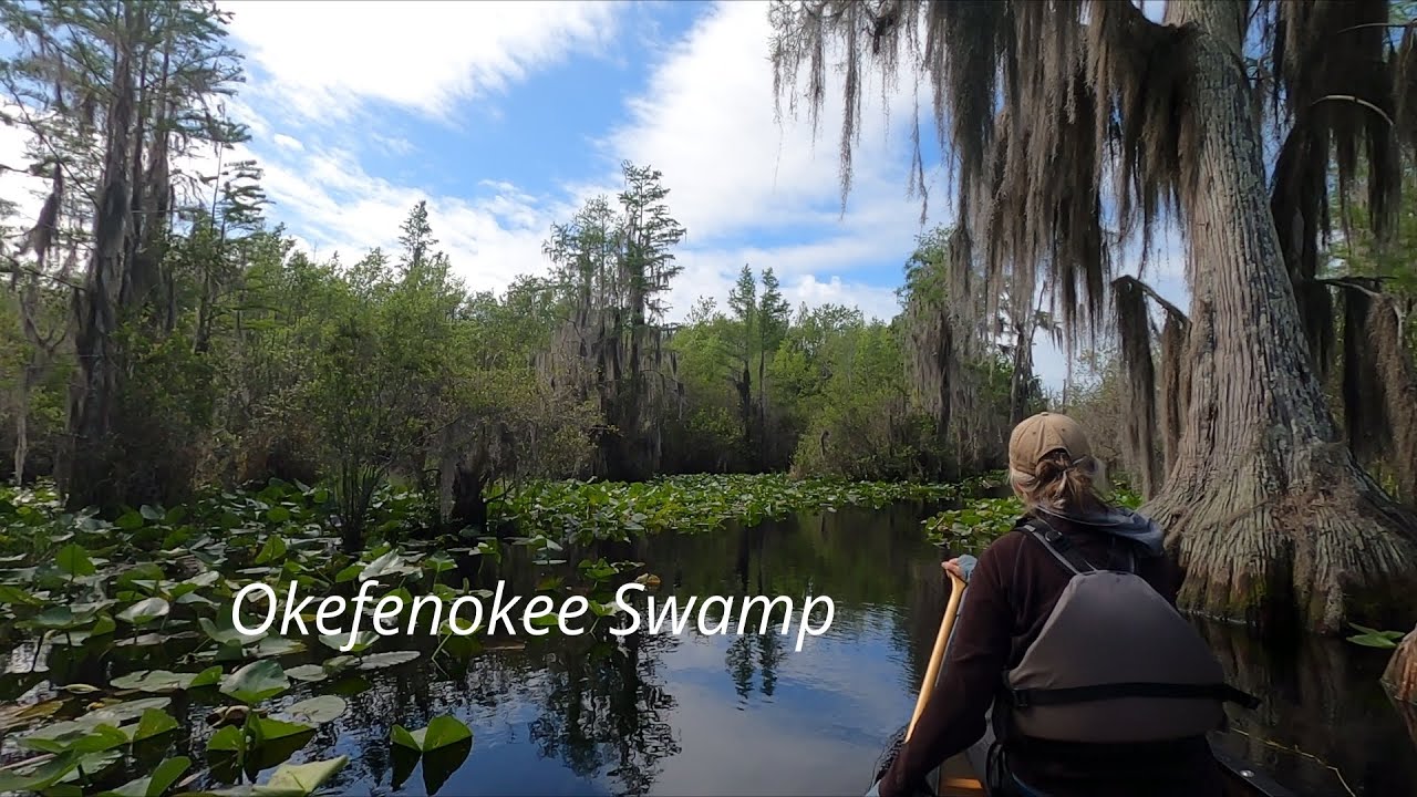 Okefenokee Swamp - Stephen C. Foster State Park to Big Water Shelter
