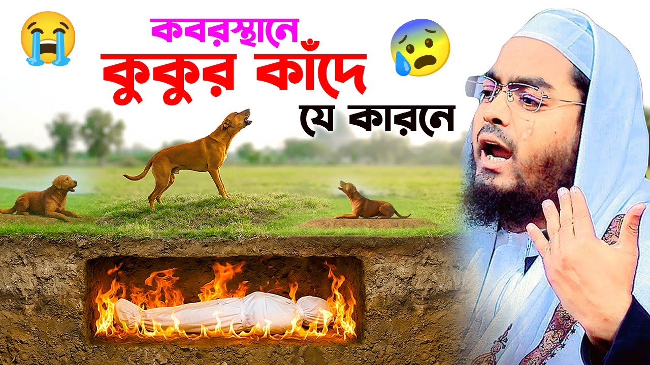 কবরস্থানে কুকুর কাঁদে কেনো । হাফিজুর রহমান ২০২৬ ।  hafizur rahman siddiqui waz