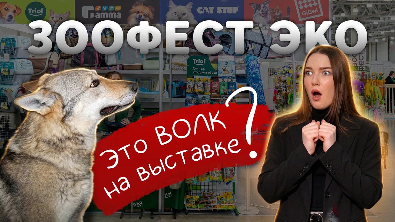 Полный обзор выставки ЗООФЕСТ ЭКО 2026