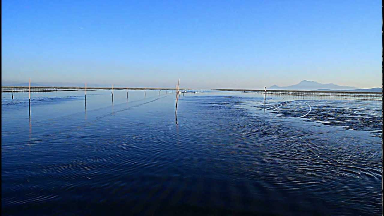 漁港、、、有明海 　(Full HD)