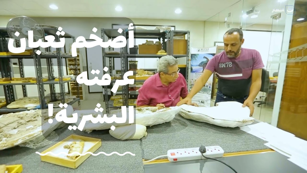 باب الخلق| أضخم ثعبان عرفته البشرية وهيكل عظمي لديناصور مرعب أكتشفه د. هشام سلام وفريقه في المنصورة