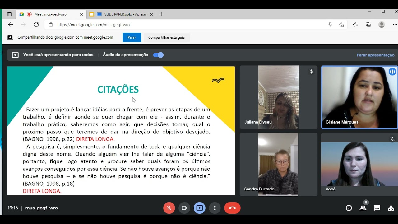 Apresentação do Paper - Citações (13/06/2021)