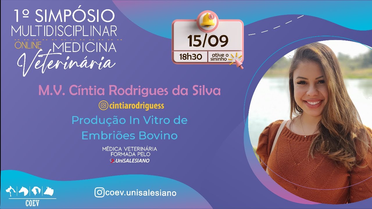 Produção In Vitro de Embriões Bovino